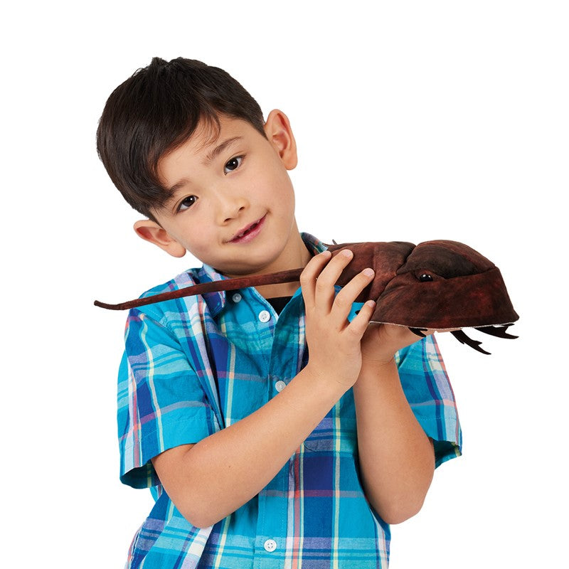 Horseshoe Crab