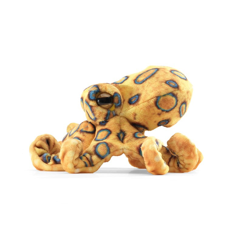 Mini Blue Ringed Octopus