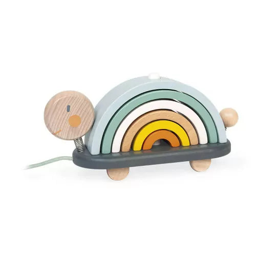 Rainbow Turtle Pull Toy