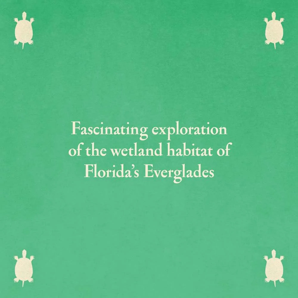 Cover of the children's book 'Over and Under the Wetland' featuring an illustration of a landscape with trees and a bird, written by Katrina Miller and Christopher Silbee.