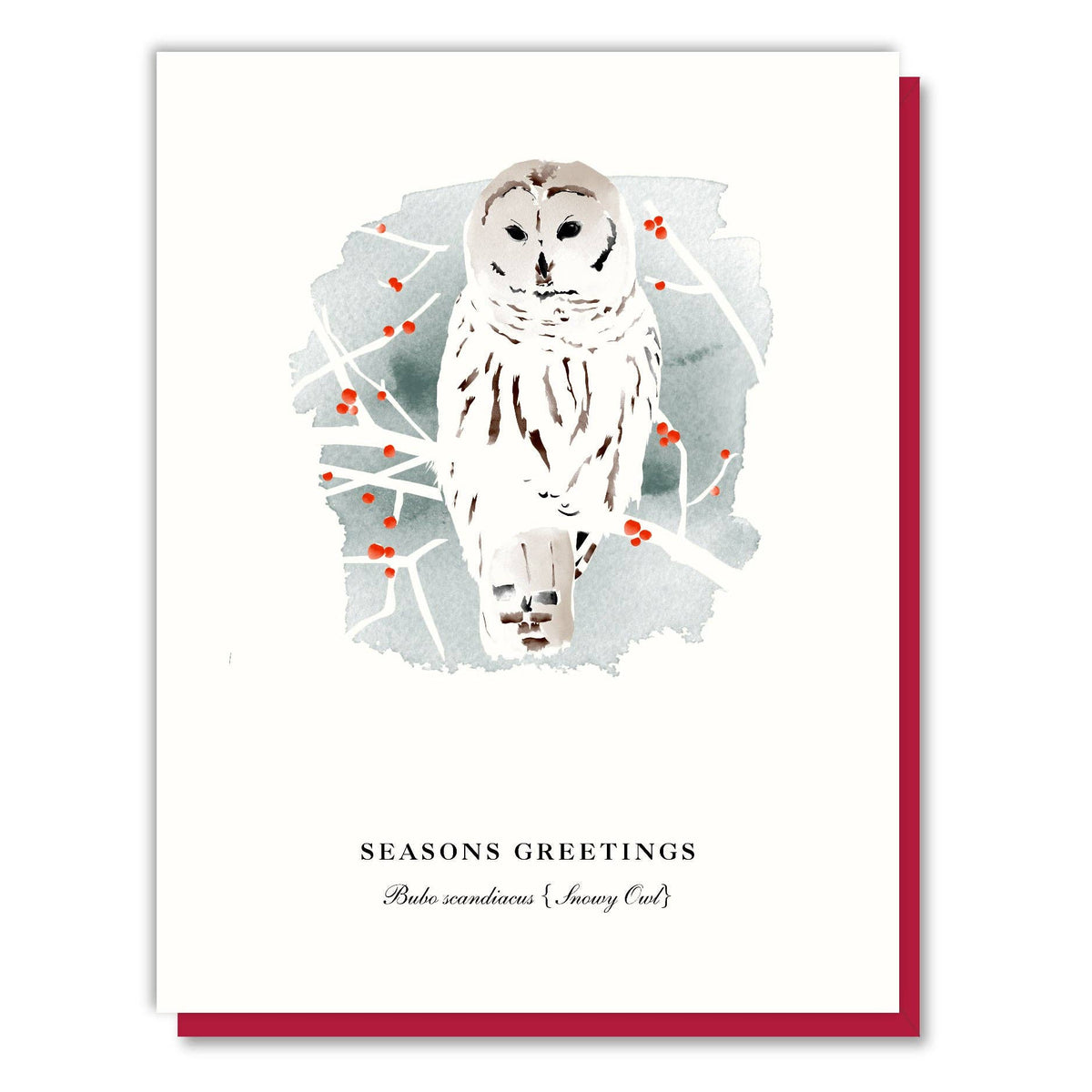 Season&#39;s Greetings Snowy Owl Card: Box of 8