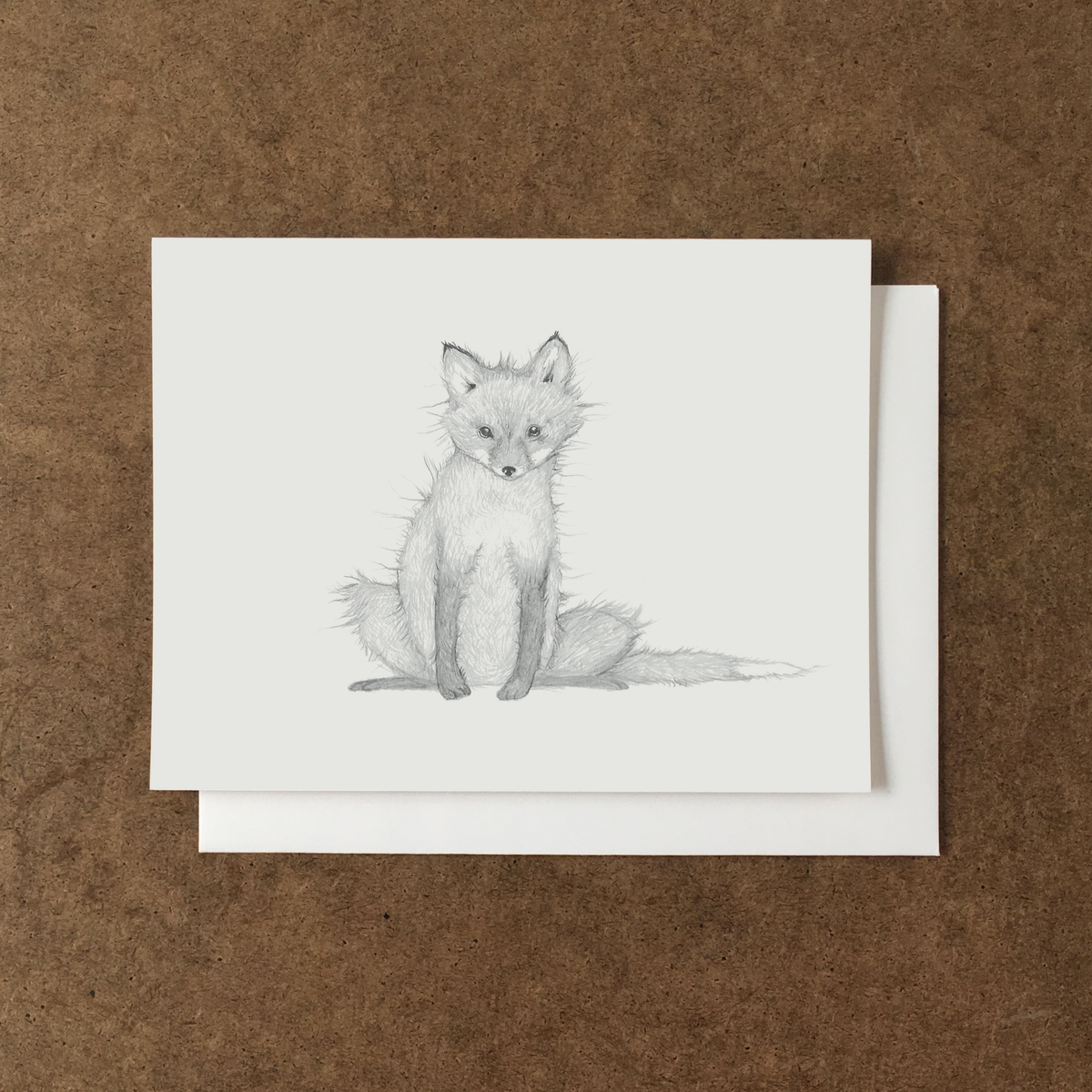 pencil drawing of a young fox