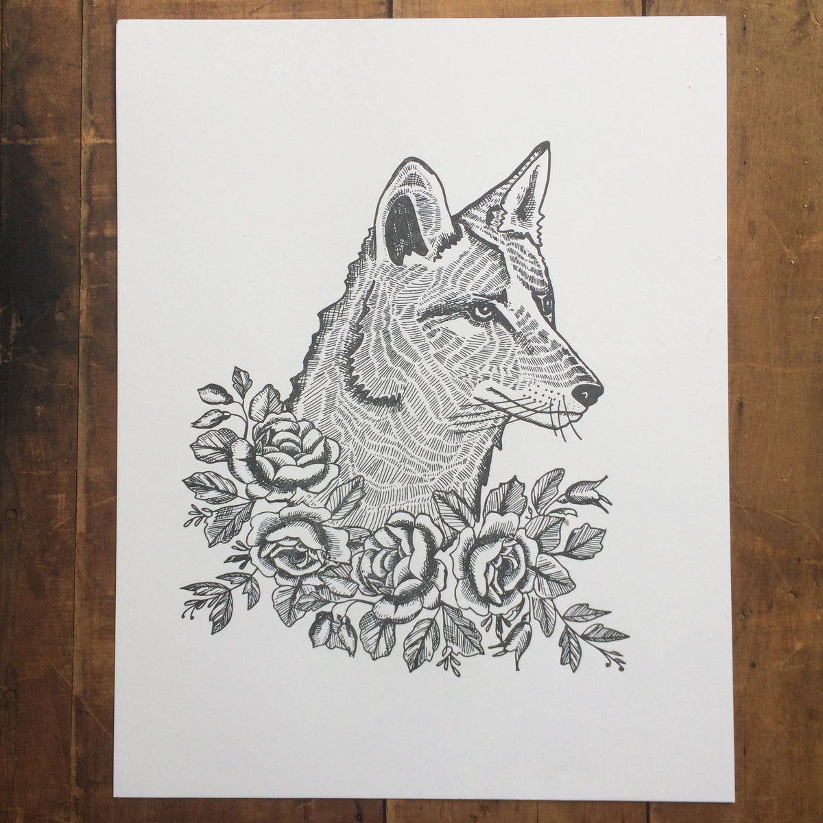 Coyote with Roses