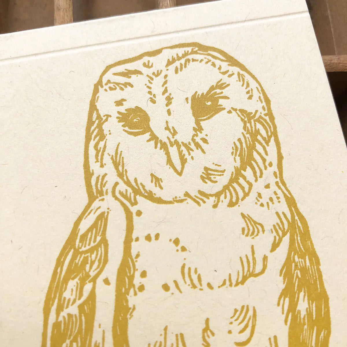 close up of owl print 
