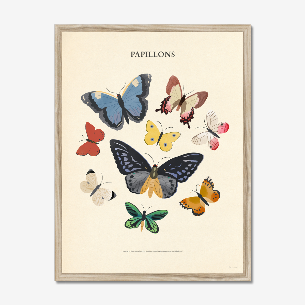 Papillons - Butterflies Fine Art Print