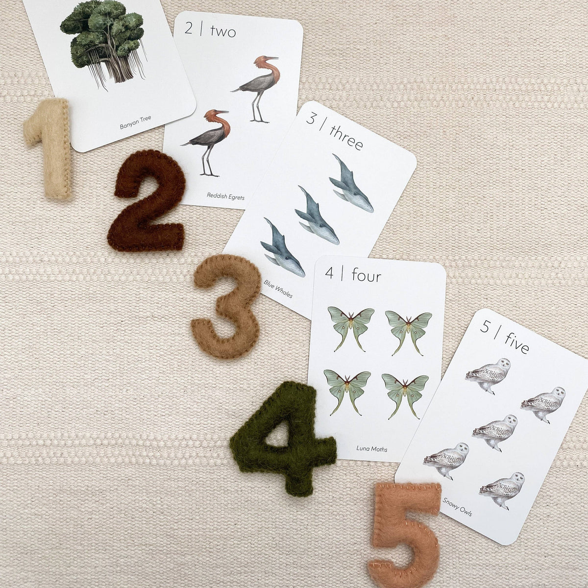 Nature 123 Number  Cards