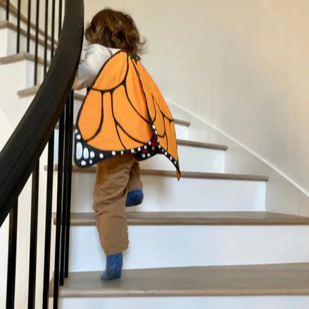 Orange Monarch Butterfly Wings