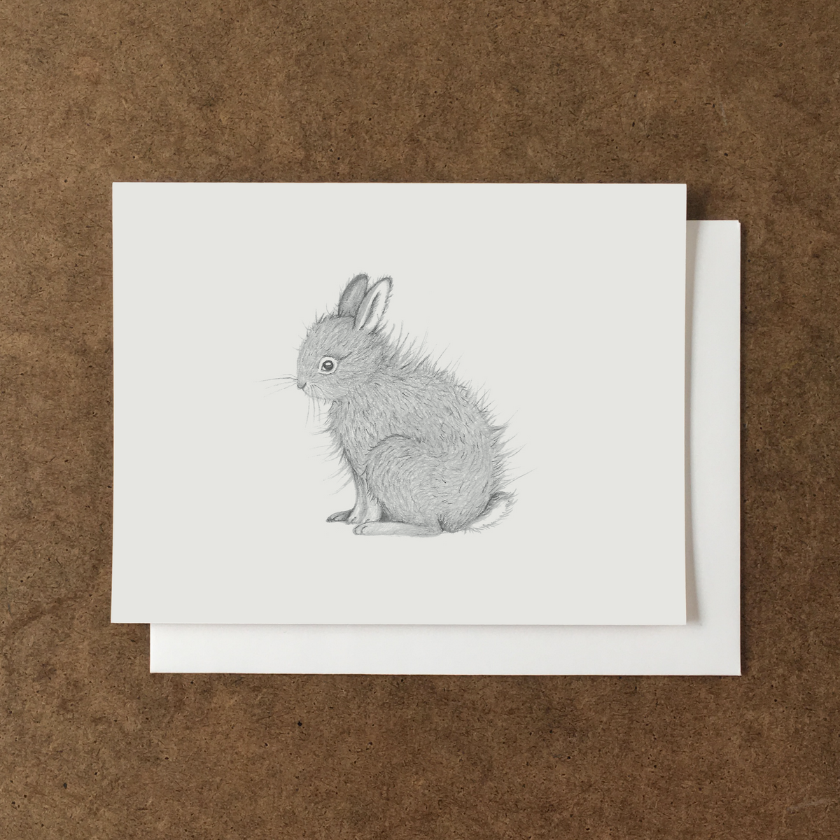 pencil drawing of a young rabbit