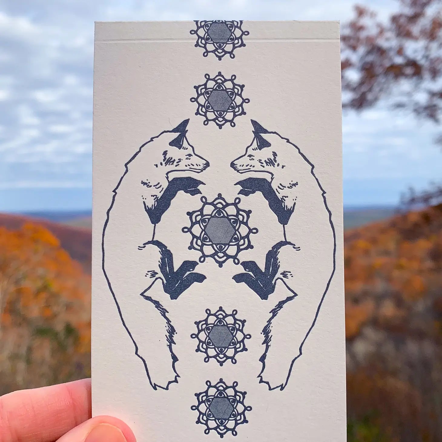 person holding fox jotter with mountain background