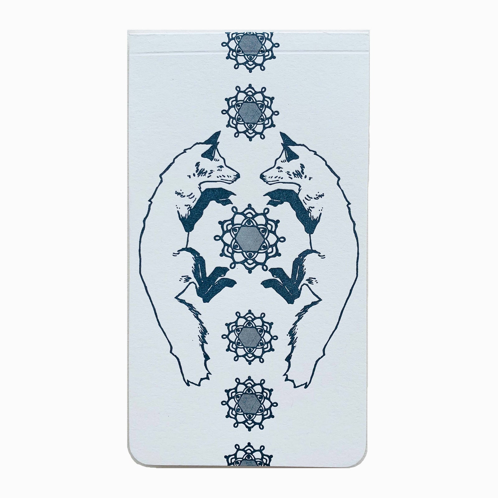 person holding fox jotter with mountain background