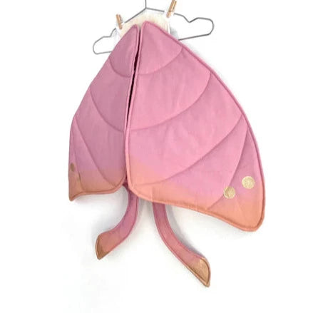 Pink Silk Moth